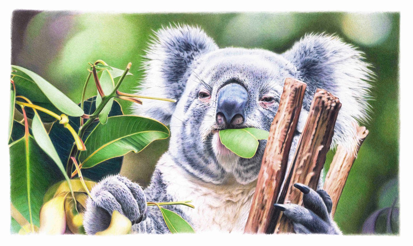 Original Artwork $2,900aud
(Original Art size: 60x35cm)
A2 Print $90aud
A1 Print $150aud