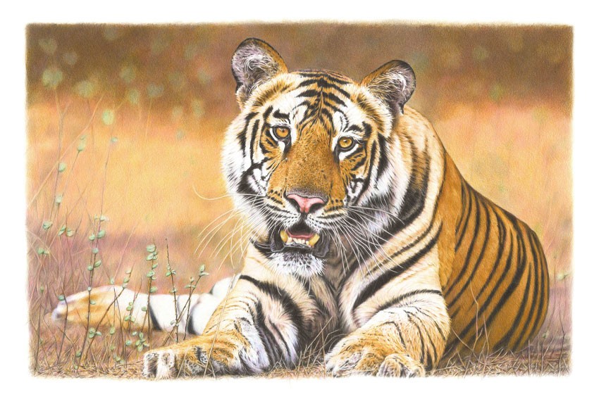 Original Artwork $2,900aud
(Original Art size: 60x40cm)
A2 Print $90aud
A1 Print $150aud